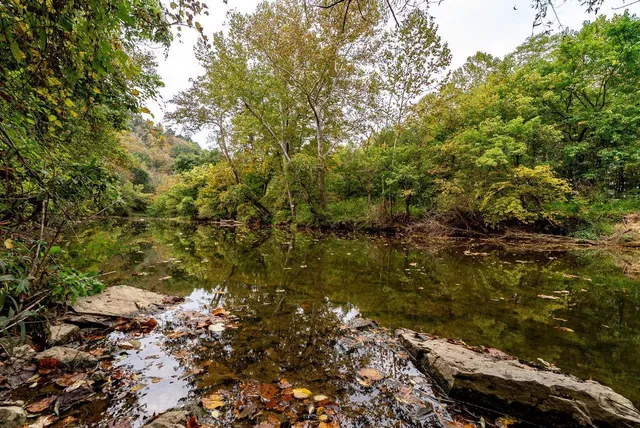 $1,000,000 | Tbd Bald Rock Road, Verona, VA 24482