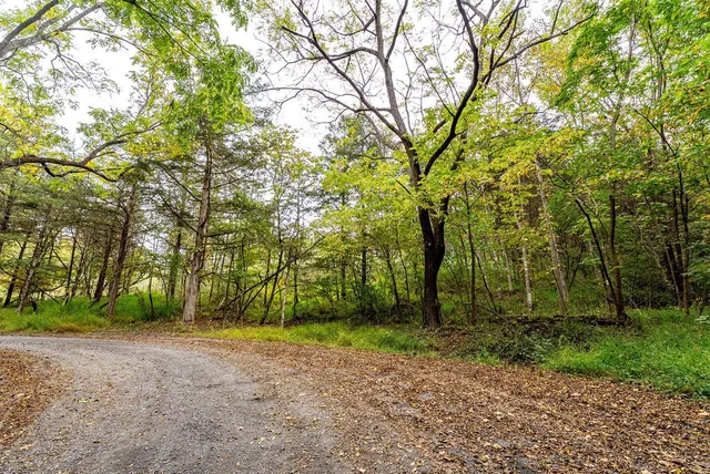 $1,000,000 | Tbd Bald Rock Road, Verona, VA 24482