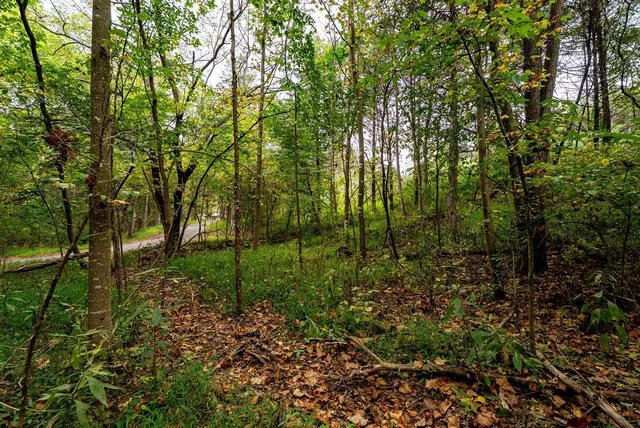 $1,000,000 | Tbd Bald Rock Road, Verona, VA 24482