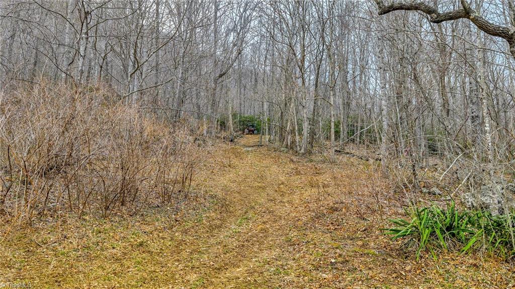 Three Top Road Todd, NC 28684 - Photo 3 of 24