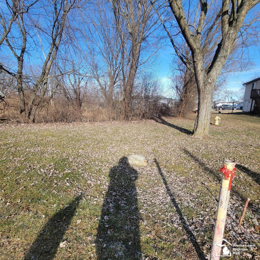 35331 Milleville Road Rockwood, MI 48173 - Photo 4 of 16