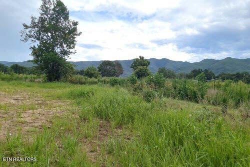 290 Bill Mauk Road Chuckey, TN 37641 - Photo 6 of 8