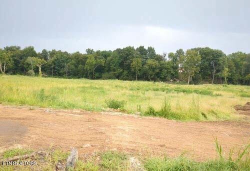 290 Bill Mauk Road Chuckey, TN 37641 - Photo 7 of 8