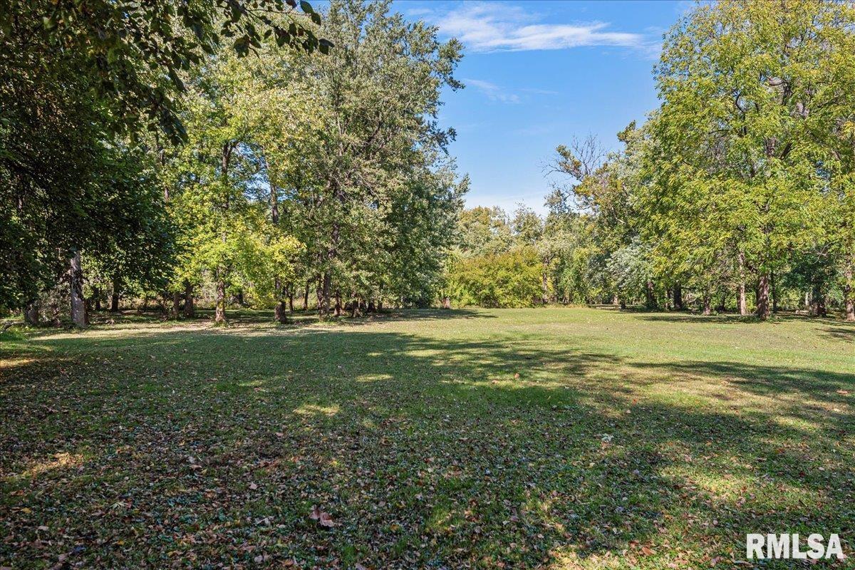 7425 Mechanicsburg Road Springfield, IL 62712 - Photo 41 of 51