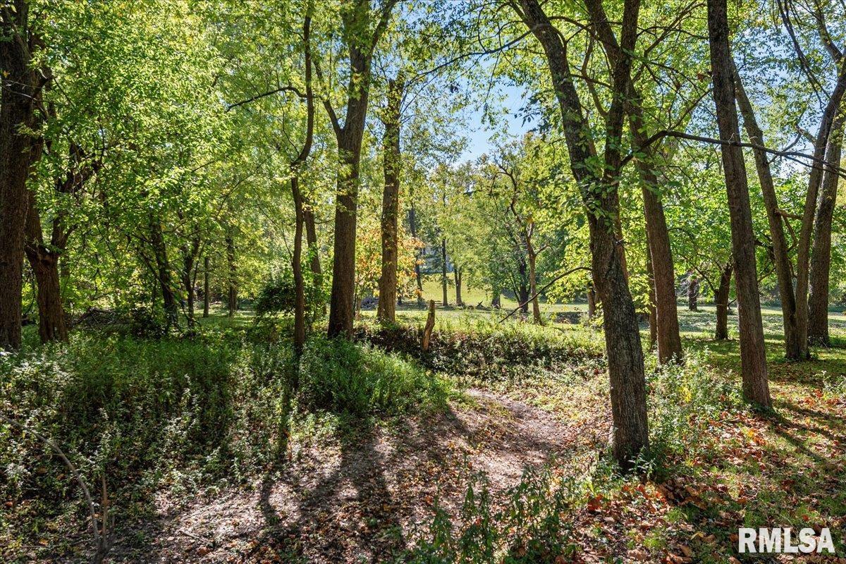 7425 Mechanicsburg Road Springfield, IL 62712 - Photo 44 of 51