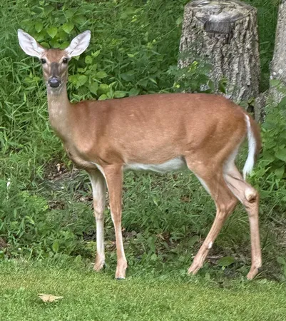 $422,000 | 6071 St Peters Road, West Harrison, IN 47060