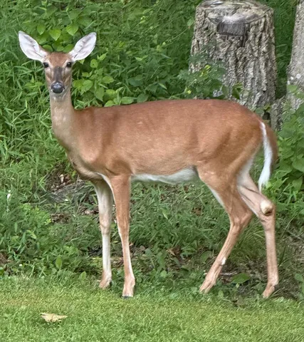 $434,000 | 6071 St Peters Road, West Harrison, IN 47060