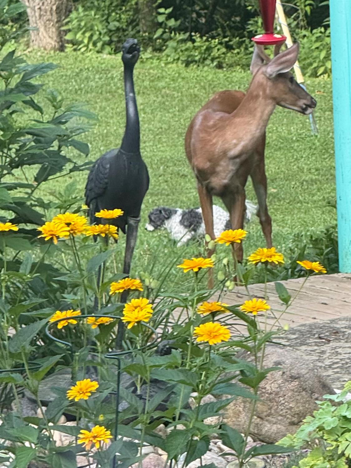 6071 St Peters Road West Harrison, IN 47060 - Photo 63 of 73