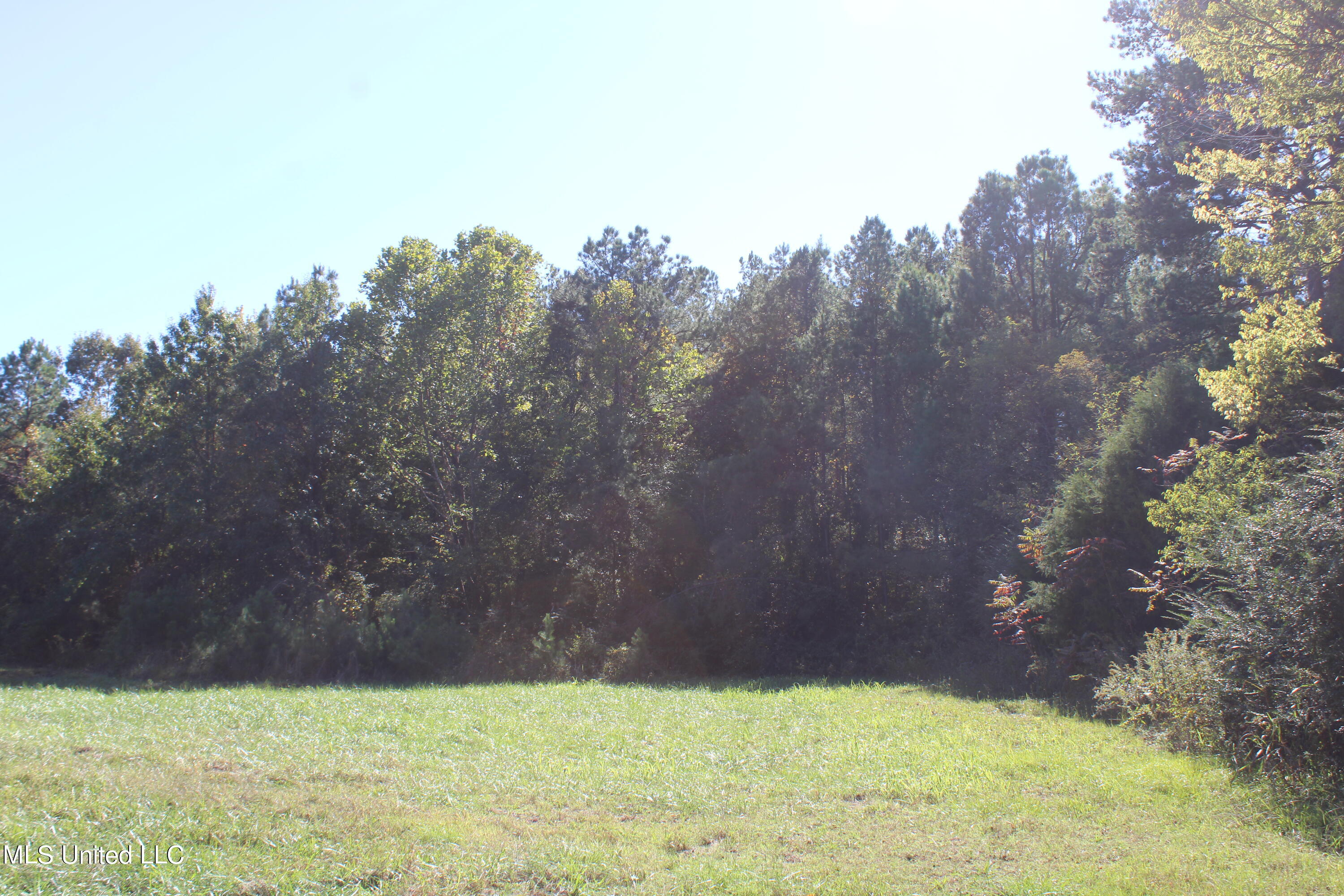 1504 Lower Gurley Road Potts Camp, MS 38659 - Photo 15 of 52 IMG_4790