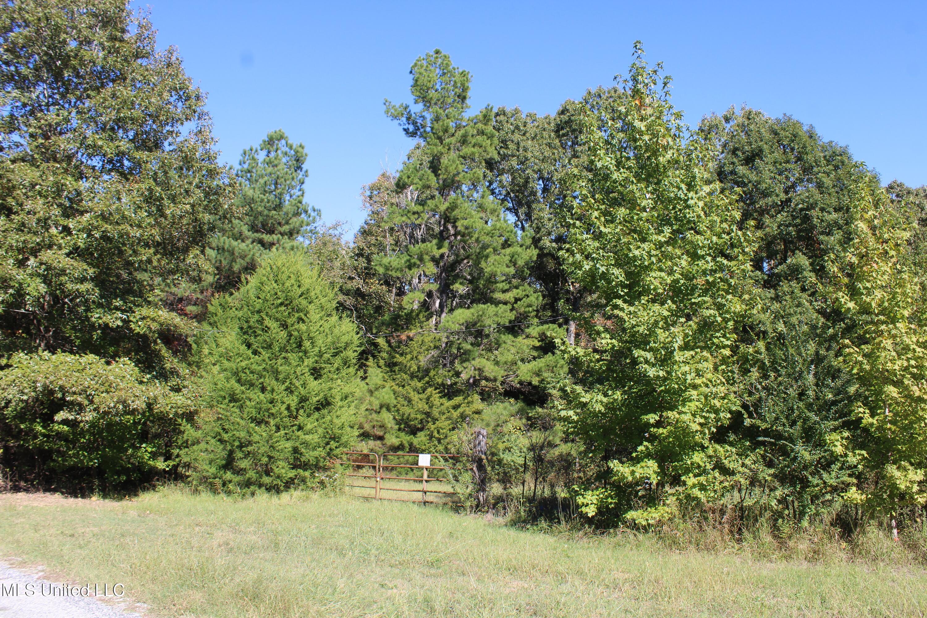 1504 Lower Gurley Road Potts Camp, MS 38659 - Photo 5 of 52 IMG_4780