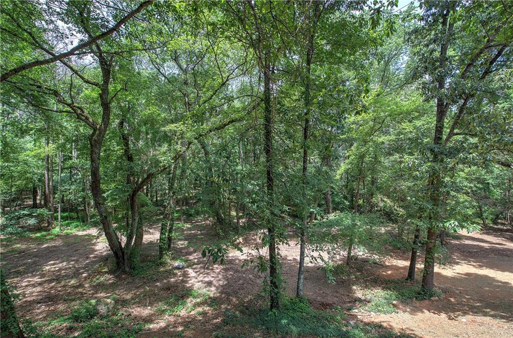 80 Iron Hill Road Taylorsville, GA 30178 - Photo 9 of 37