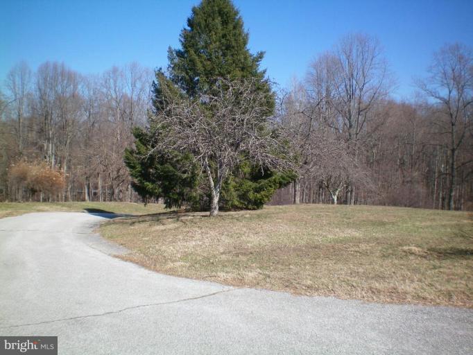 6222 Solomons Island Road Dunkirk, MD 20754 - Photo 6 of 16 driveway