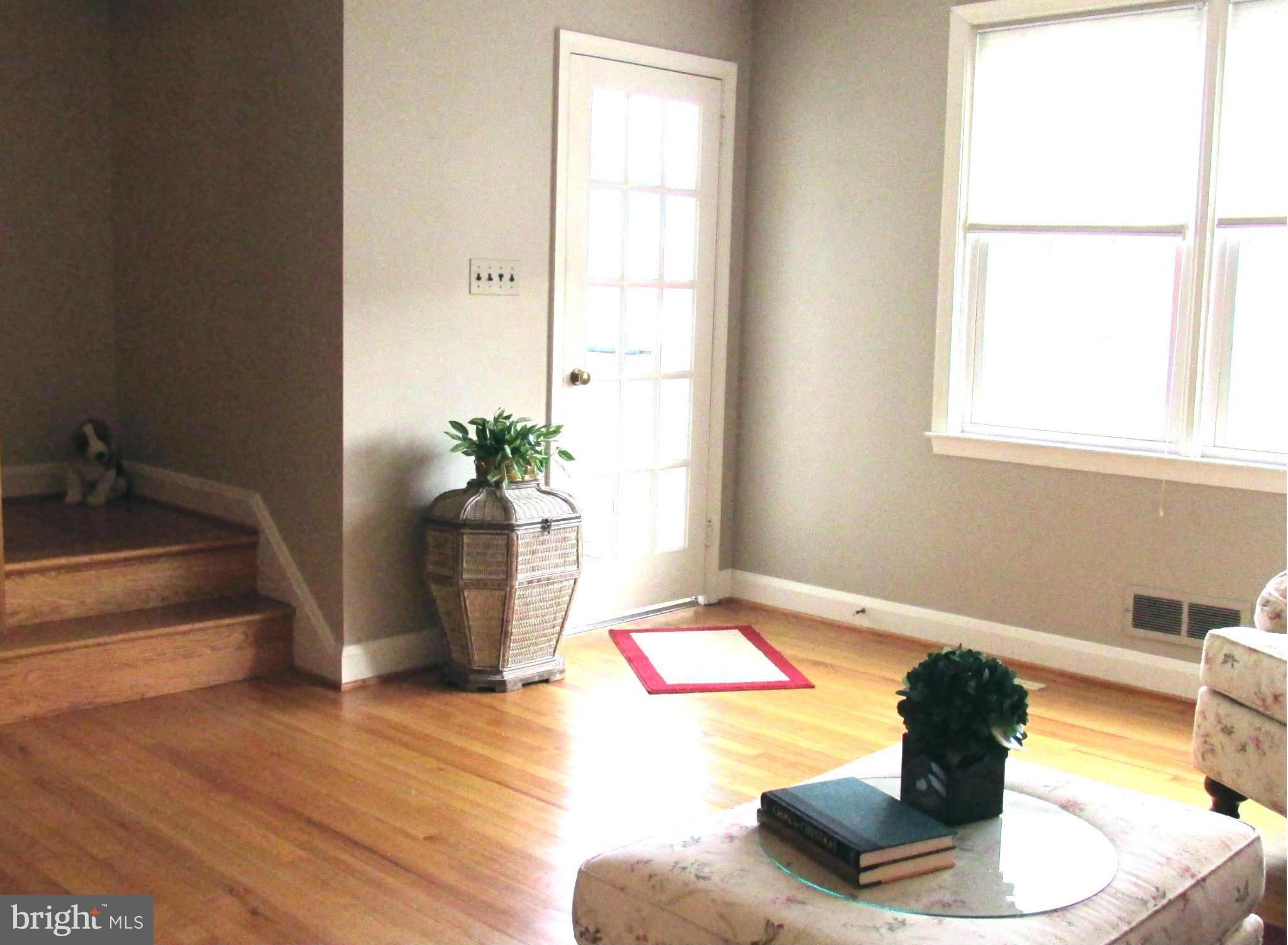 1512 Doxbury Road Baltimore, MD 21286 - Photo 4 of 24 a view of a potted plant in a room