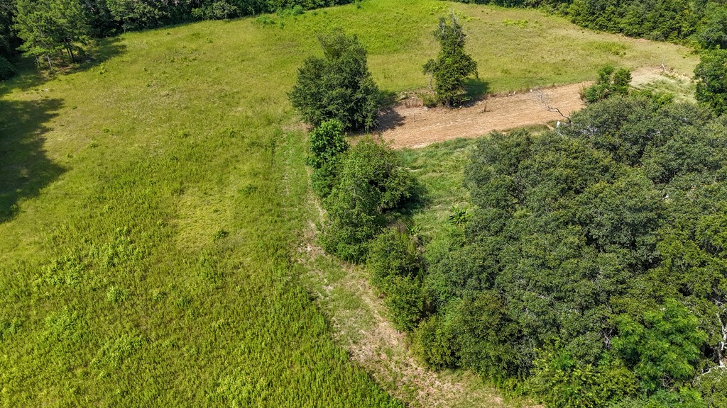 0 Main Street Headland, AL 36345 - Photo 10 of 12