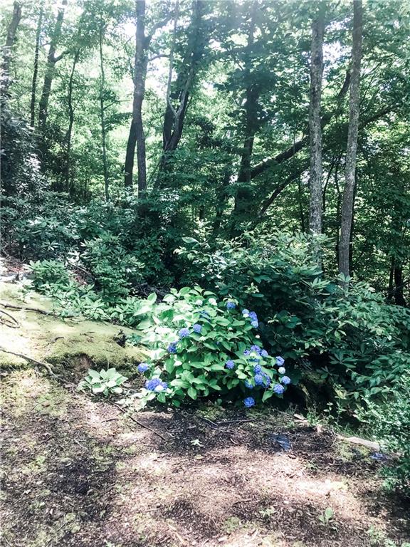 99 Pheasant Ridge Road Fairview, NC 28730 - Photo 30 of 31 Gallery Image 30