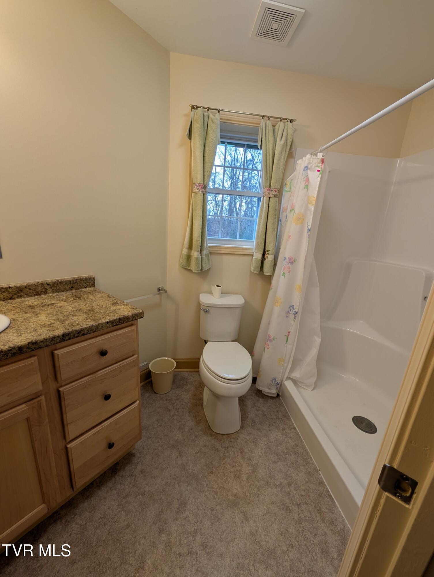 220 Crockett Timbers Limestone, TN 37681 - Photo 19 of 23 Bath 1