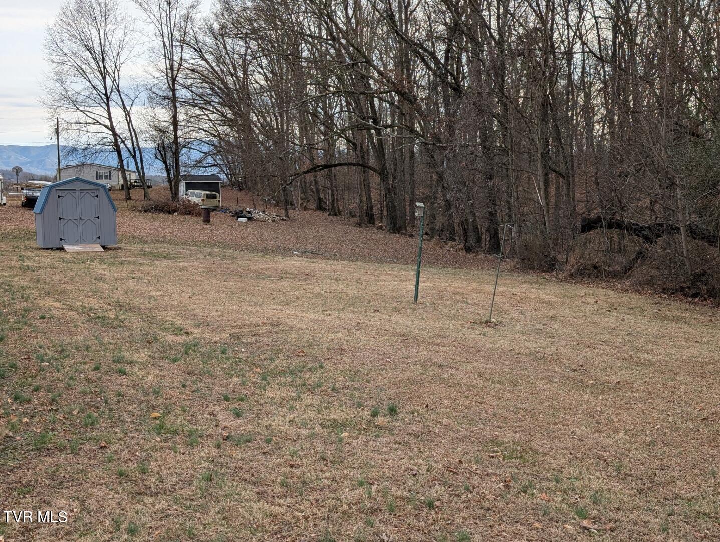 220 Crockett Timbers Limestone, TN 37681 - Photo 7 of 23 Back Yard