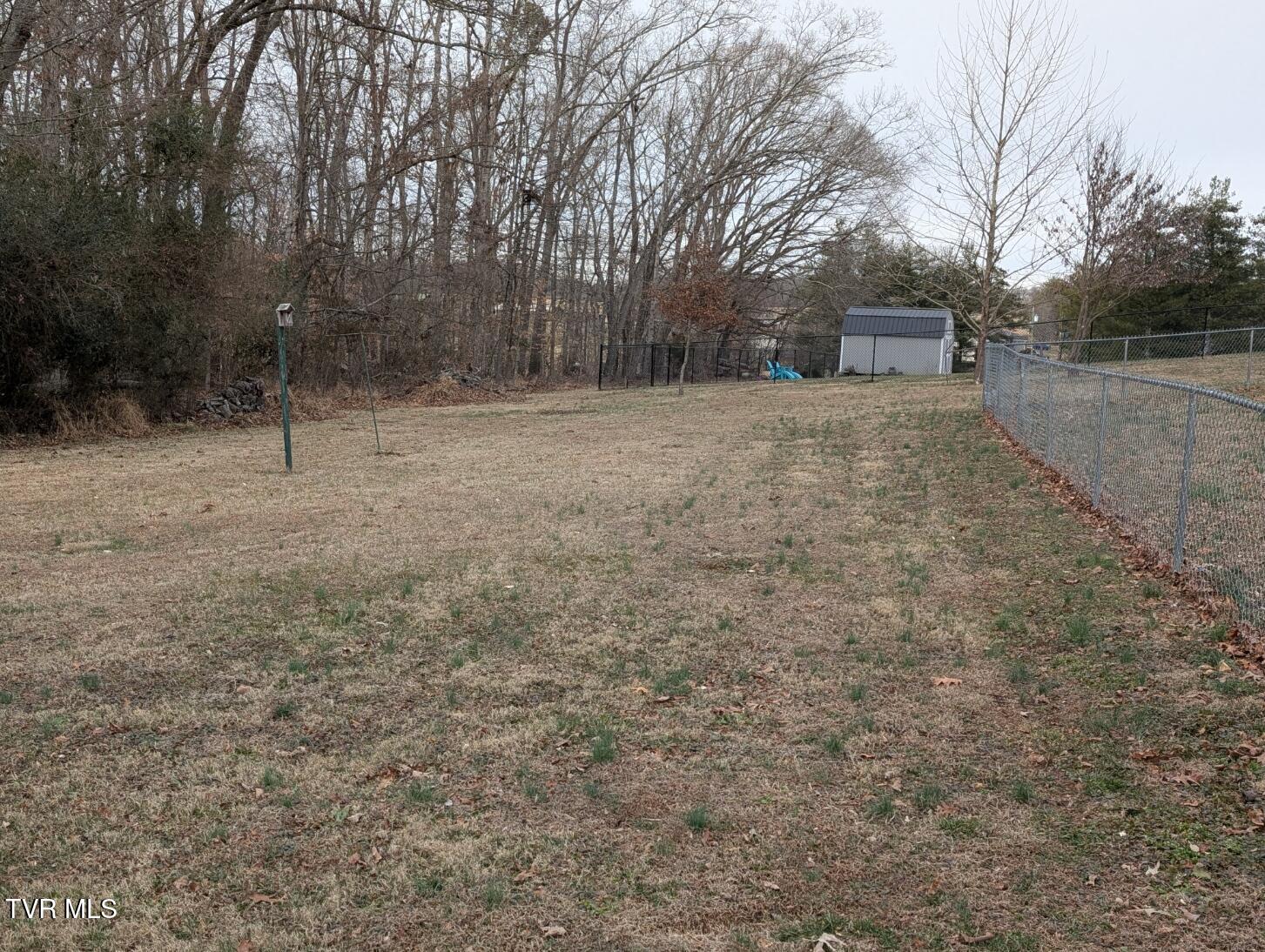220 Crockett Timbers Limestone, TN 37681 - Photo 8 of 23 Back Yard 2nd