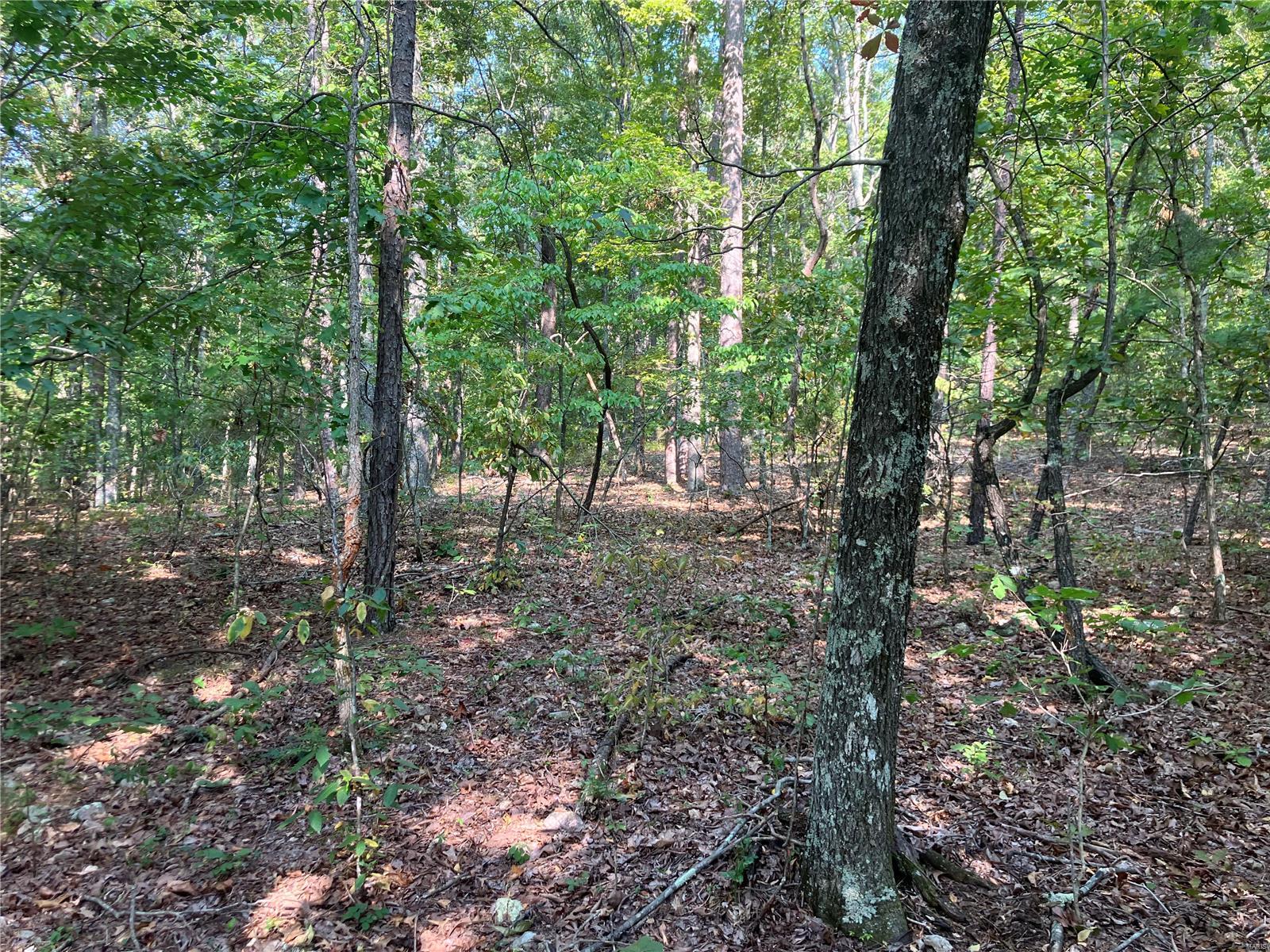 0 Ssr Aa Alton, MO 65606 - Photo 11 of 14