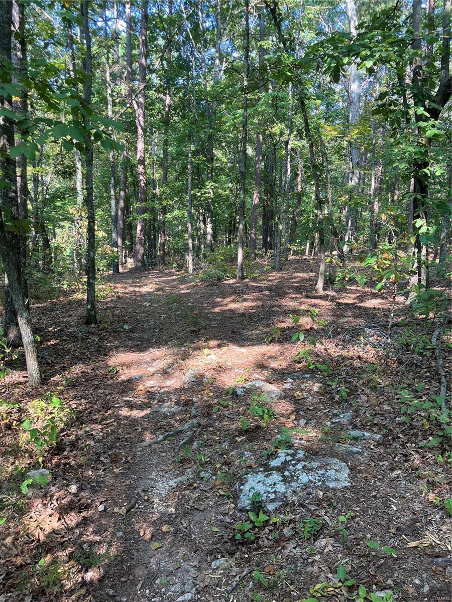 0 Ssr Aa Alton, MO 65606 - Photo 3 of 14