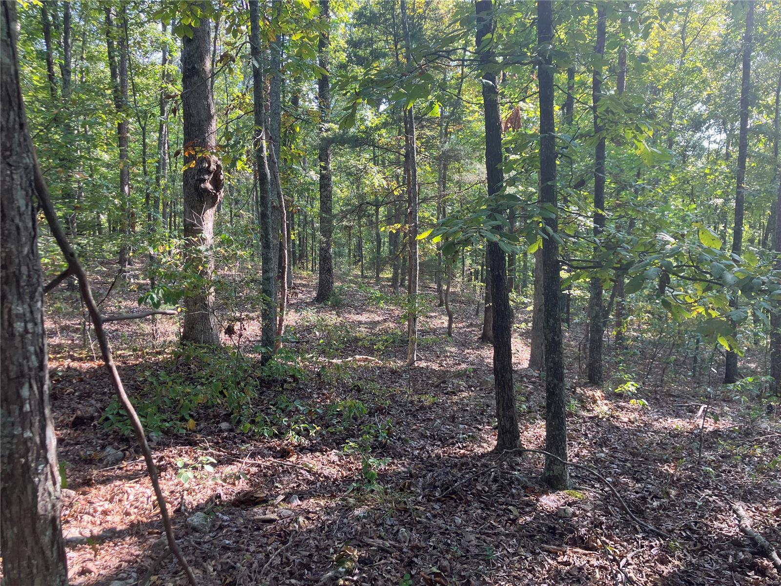 0 Ssr Aa Alton, MO 65606 - Photo 4 of 14