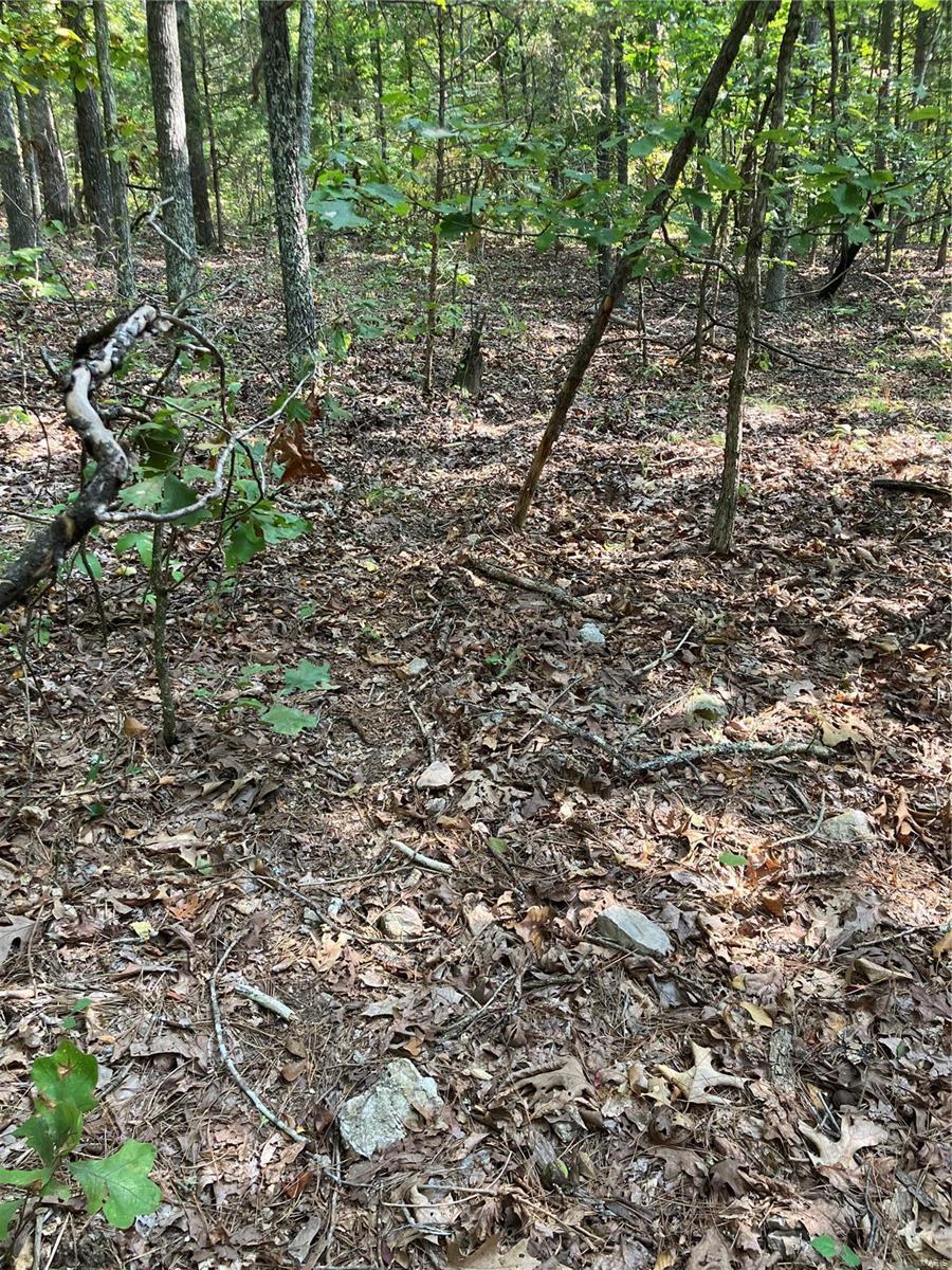 0 Ssr Aa Alton, MO 65606 - Photo 5 of 14