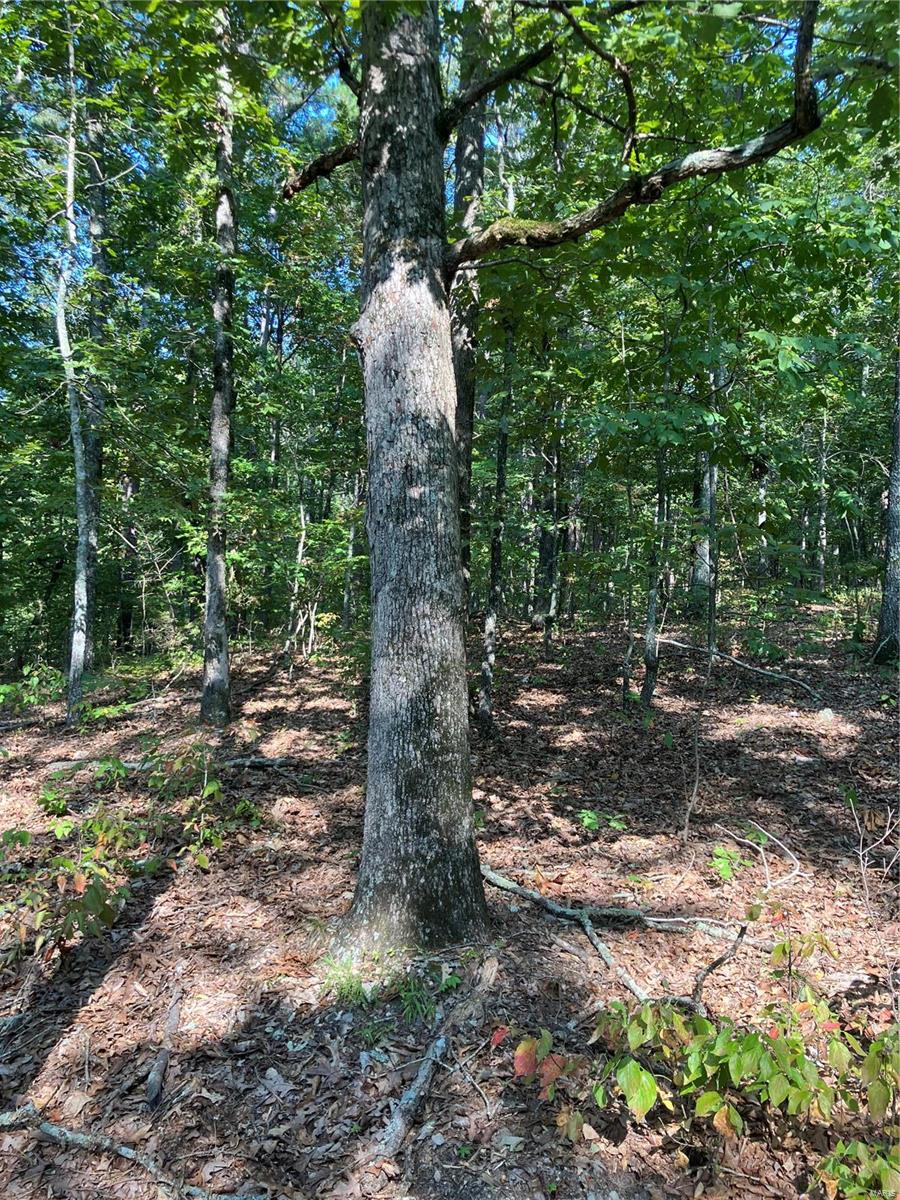 0 Ssr Aa Alton, MO 65606 - Photo 6 of 14