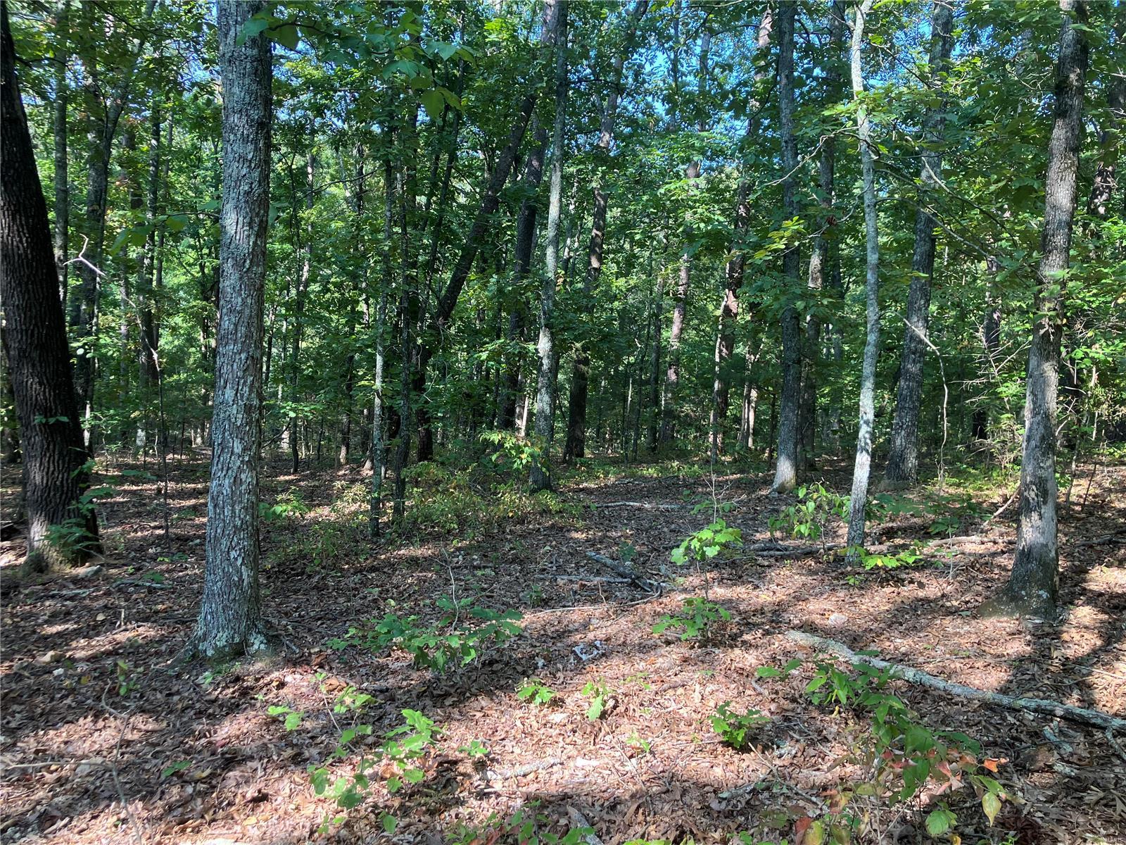 0 Ssr Aa Alton, MO 65606 - Photo 7 of 14