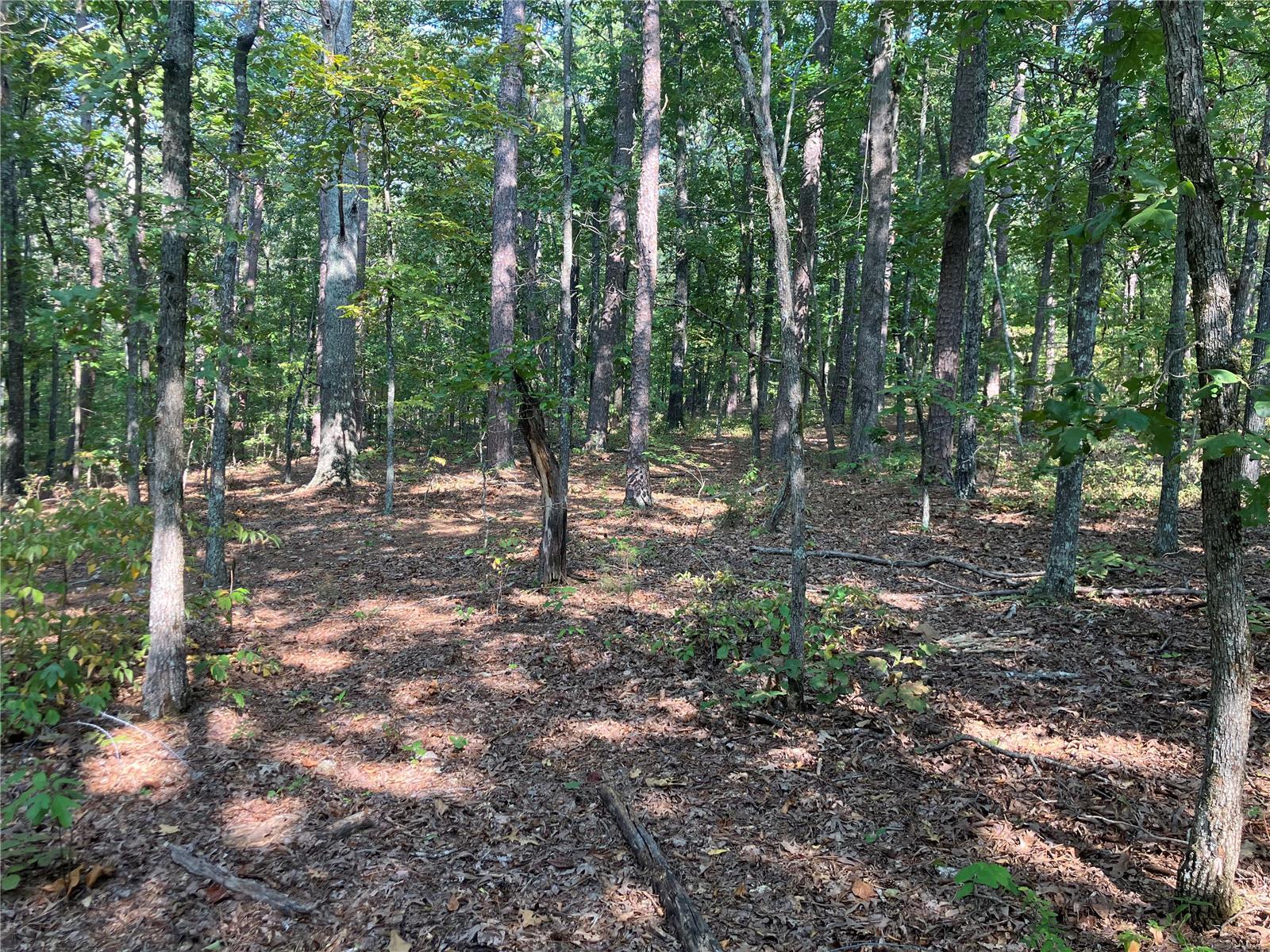 0 Ssr Aa Alton, MO 65606 - Photo 8 of 14