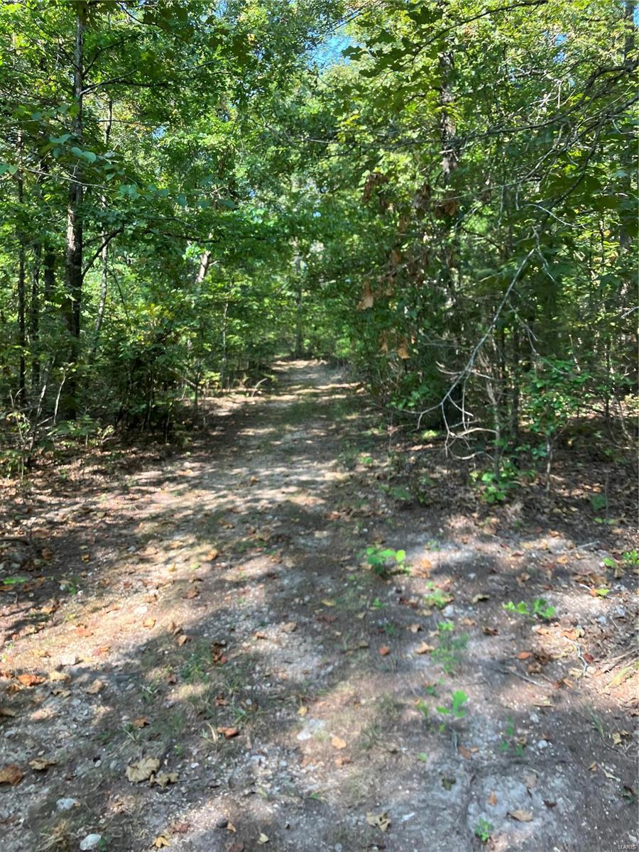 0 Ssr Aa Alton, MO 65606 - Photo 9 of 14