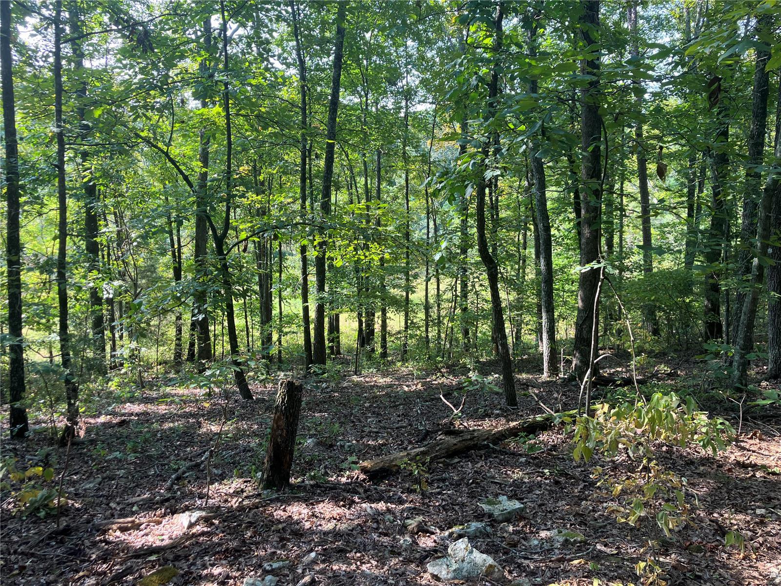 0 Ssr Aa Alton, MO 65606 - Photo 10 of 14