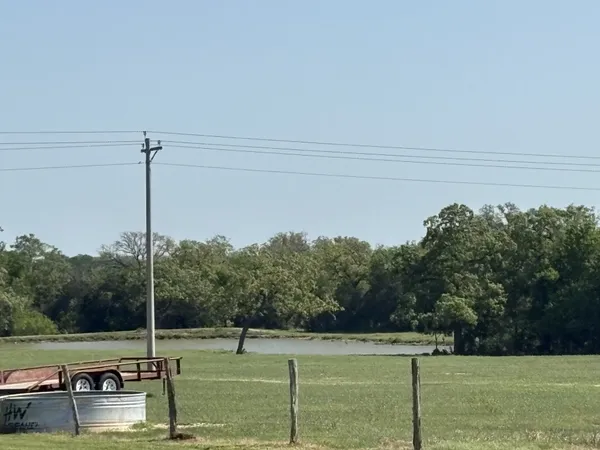 a view of a park with a tree