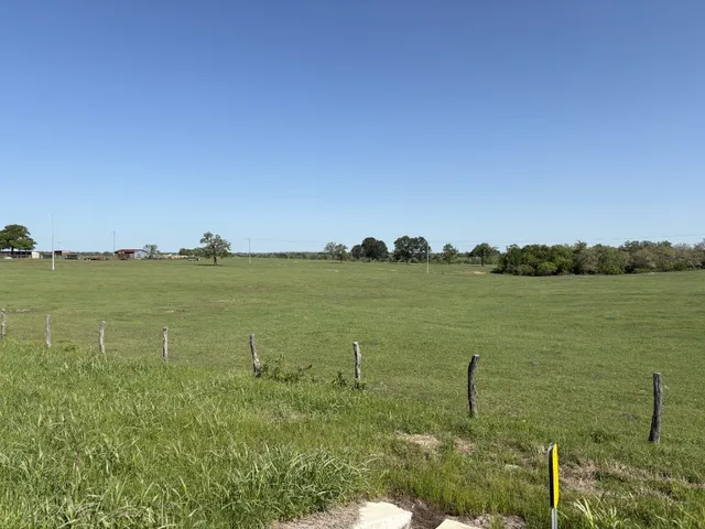 a view of a lake from a yard