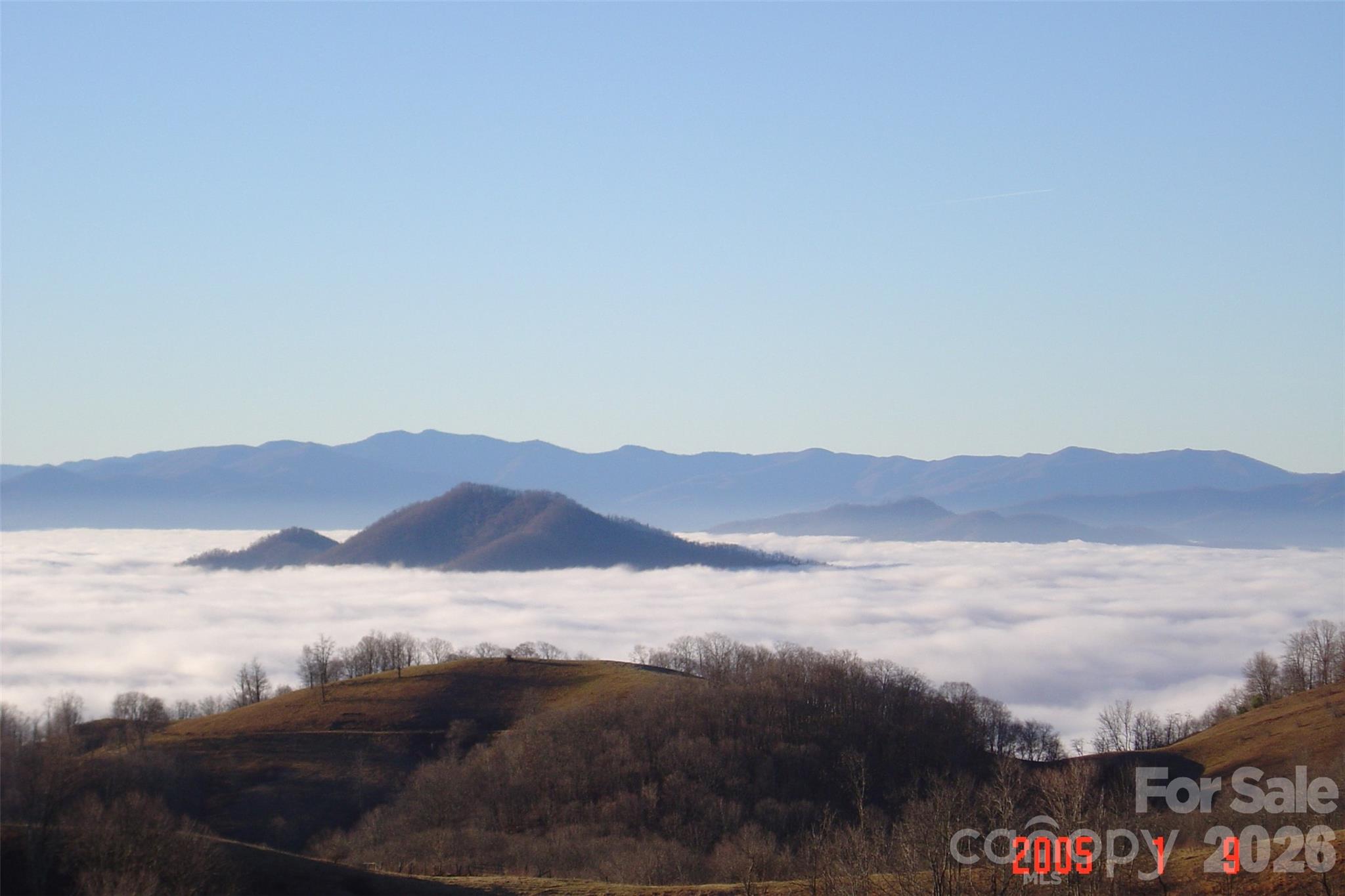 1050 Turkey Trot Road Clyde, NC 28721 - Photo 7 of 22
