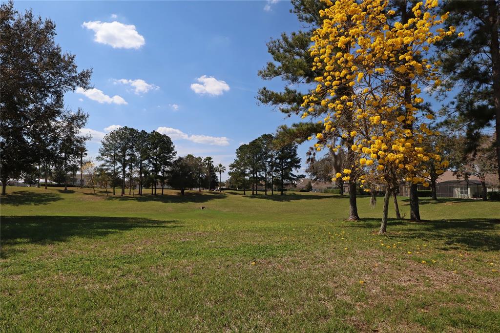 8211 Fan Palm Way Kissimmee, FL 34747 - Photo 37 of 41 a view of outdoor space with green field and trees