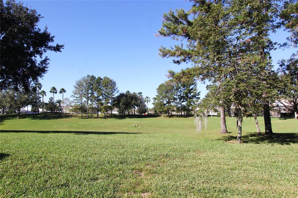 8211 Fan Palm Way Kissimmee, FL 34747 - Photo 38 of 41 a view of outdoor space with yard and trees