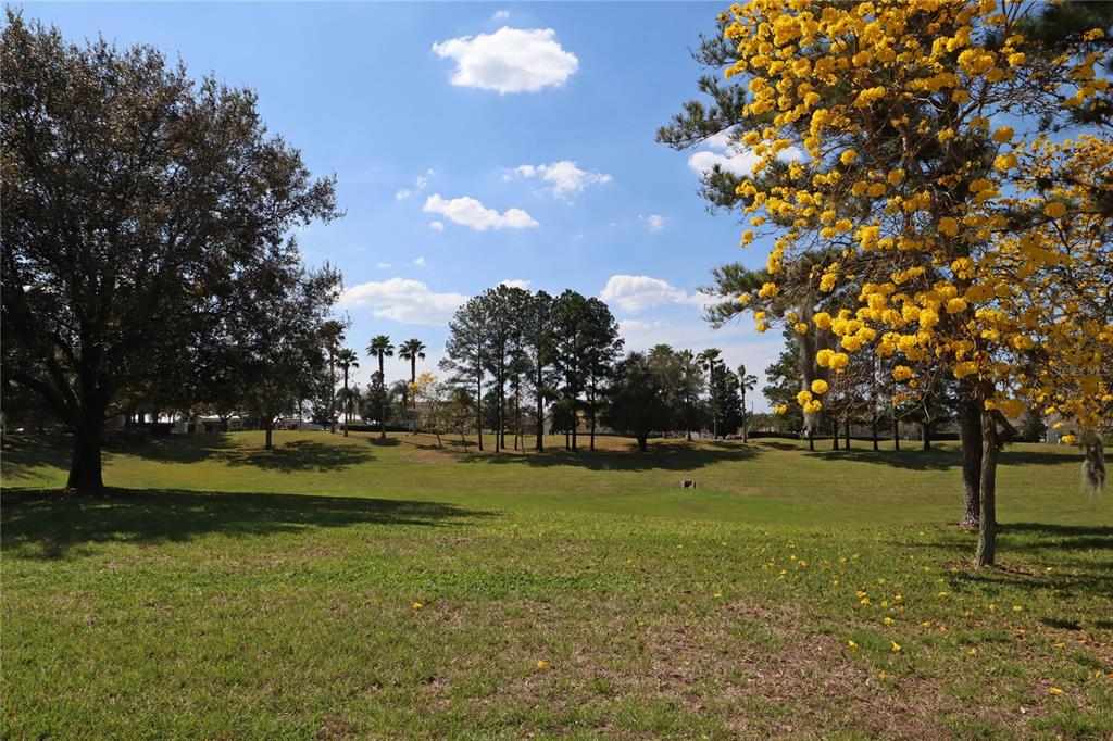8211 Fan Palm Way Kissimmee, FL 34747 - Photo 39 of 41 a view of a golf course