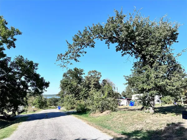 a view of a tree in the middle of a yard