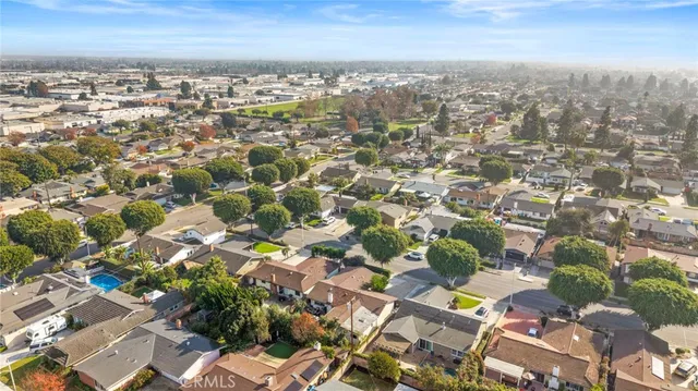 a view of a yard with plants and a tree