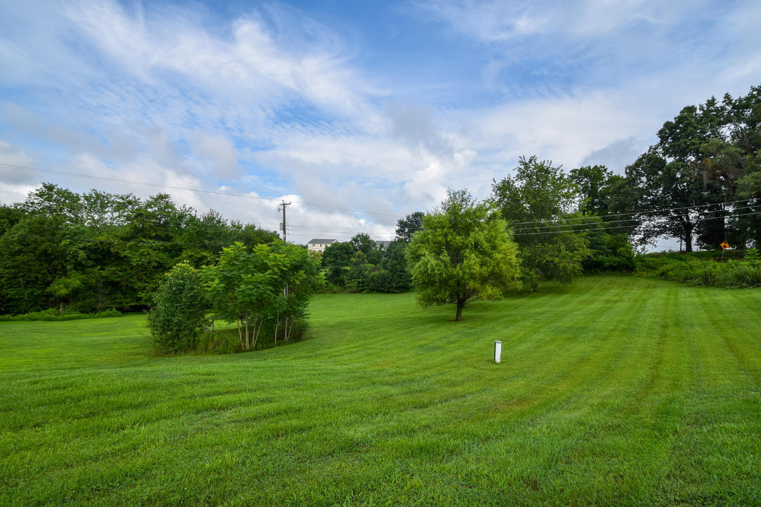 1167 Mill Iron Road Goodview, VA 24095 - Photo 13 of 19 a view of a grassy field with trees