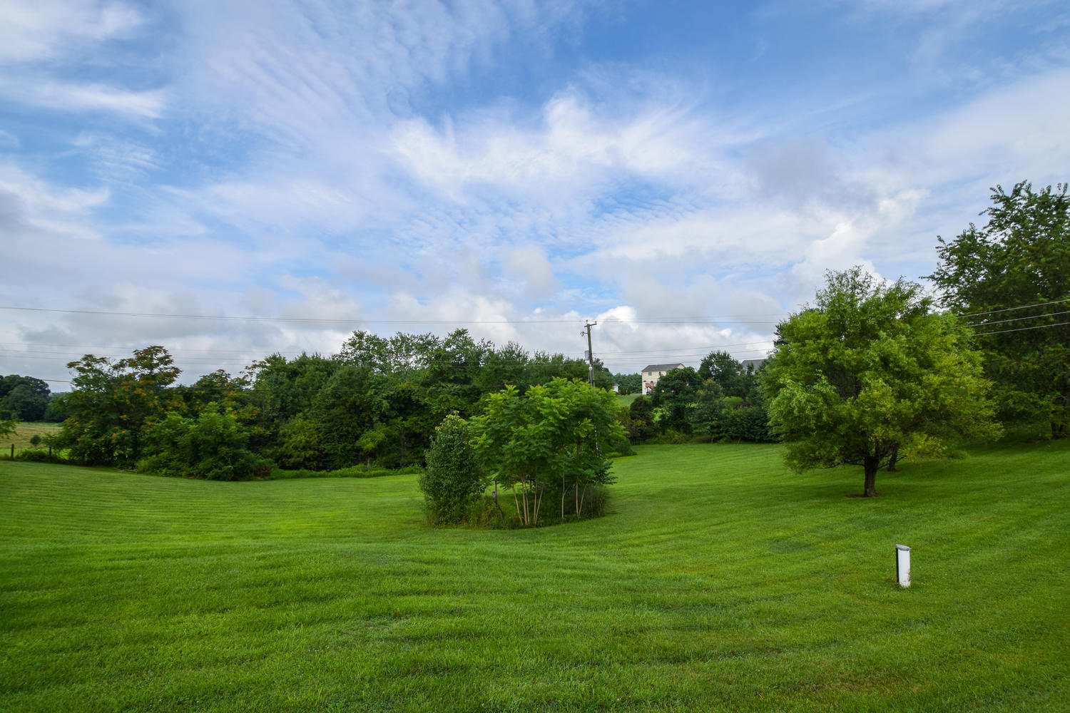 1167 Mill Iron Road Goodview, VA 24095 - Photo 14 of 19 a green field with trees in the background