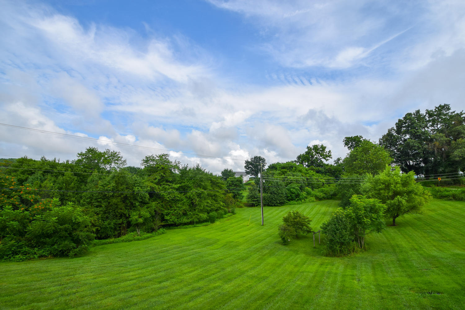 1167 Mill Iron Road Goodview, VA 24095 - Photo 17 of 19 a view of a garden with plants and large trees