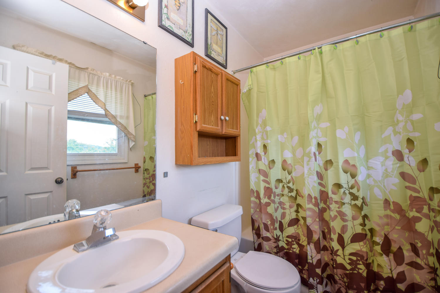 1167 Mill Iron Road Goodview, VA 24095 - Photo 10 of 19 a bathroom with a sink a toilet and shower curtain