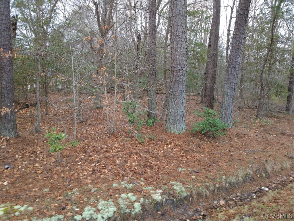 Tbd Old Stage Road Prince George, VA 23875 - Photo 3 of 6 Gallery Image 3
