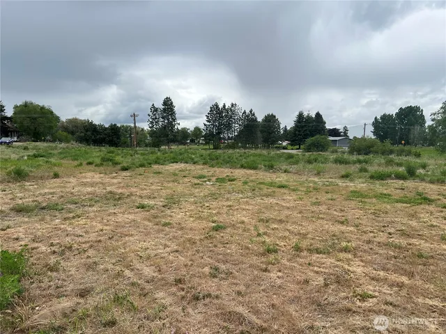 a view of a field with trees