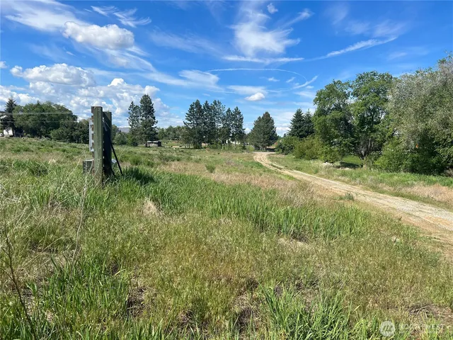 a big yard with lots of green space