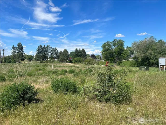 a view of a field of grass and trees