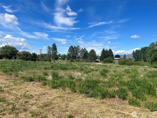 a view of a big yard with plants and a tree