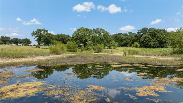 a view of a lake with a beach