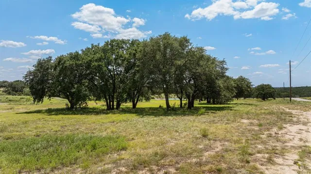a view of outdoor space with garden and trees